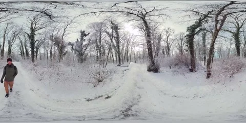 Mesmerizing Snowy Forest A 360-Degree Virtual Reality Experience of Winter Stock Footage 265515761