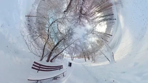 Mesmerizing Snowy Forest Path with Bench - A 360-Degree Winter Wonderland Stock Footage 265854670