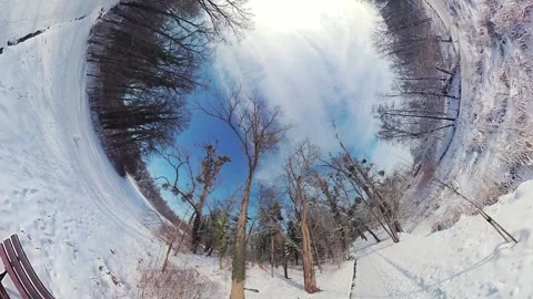 Mesmerizing Snowy Forest Path in Winter Wonderland, Peaceful Walk in Natures Stock Footage 267654084