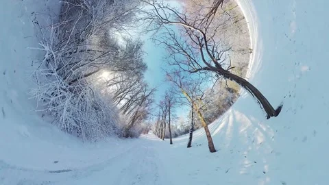 Mesmerizing Snowy Forest Path in Winter Wonderland Stock Footage 271315162