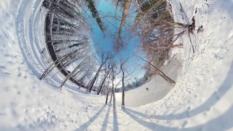 Mesmerizing Snowy Forest Walk A 360-Degree Winter Wonderland Experience Stock Footage 265124747