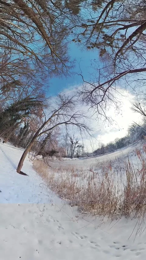 Mesmerizing Snowy Forest Walk A 360-Degree Virtual Reality Experience Stock Footage 267592940
