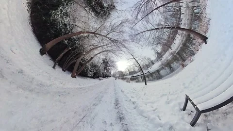Mesmerizing Snowy Path through a Picturesque Park Stock Footage 269384075