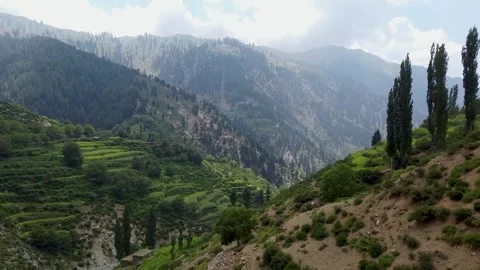 A mesmerizing spectacle of nature's wonders Stock Footage 274869225