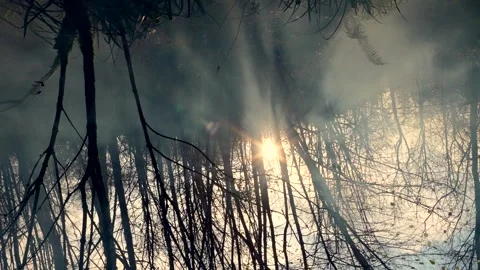 Mesmerizing Spinning Camera Through Smoky Forest Sunlight 스톡 동영상 296877925