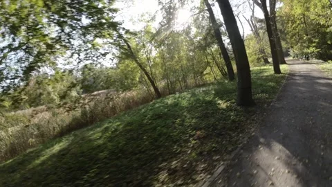 Mesmerizing Stroll through Autumns Tapestry A Relaxing Walk in the Park Stock Footage 289048423