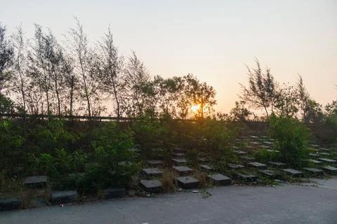 Mesmerizing sunlight streaming behind trees reflecting over abandoned coasta Stock Photos