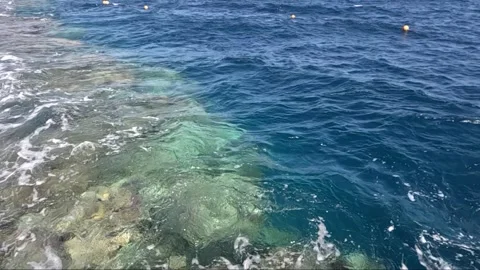 Mesmerizing Underwater Landscape: A Stunning Transition from Coral Reefs to Video stock 330098571