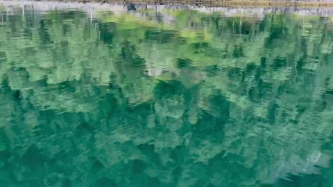 A mesmerizing underwater view showcasing crystal-clear reflections of nature Stock Footage 313950192