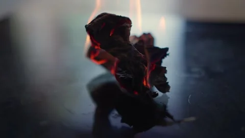 A mesmerizing video captures crumpled paper igniting, revealing dynamic flames Stock Footage 311281546