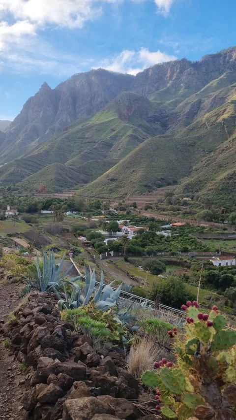 A mesmerizing view of the Agate and Lomo de San Pedro region in Tenerife Stock Footage 307630593