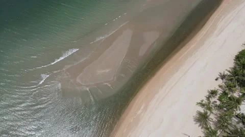 Mesmerizing view of a beach, waves and palm trees. Stock Footage 204120658