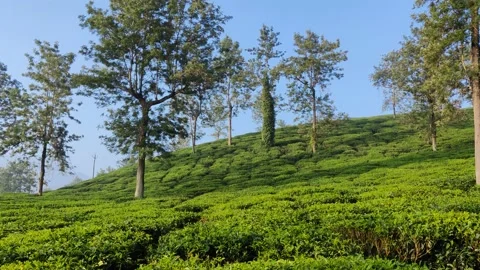 Mesmerizing view of a beautiful landscape with hills covered in greens gleami Stock Footage 148751740