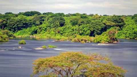 Mesmerizing view of long exposed waters of the Nile. Dense forest in background. 스톡 사진
