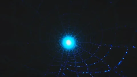 A mesmerizing view showcases a glowing web illuminated by blue light Stock Footage 309074779