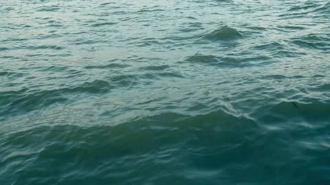 Mesmerizing Water Patterns Swaying in Strong Breeze 4K Stock Footage 345577977