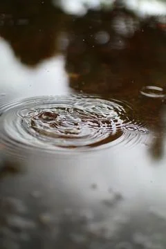 Mesmerizing Water Ripples: A Study in Circular Motion and Light Reflection Stock Photos