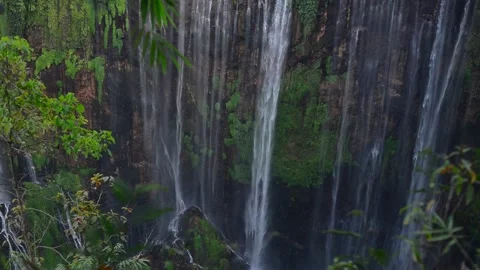 Mesmerizing Waterfall Cascading Down a Lush Tropical Cliff Face Stock Footage 299800540