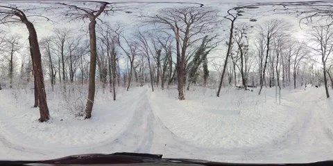 Mesmerizing Winter Forest Panorama A Snowy Wonderland Stock Footage 264907011