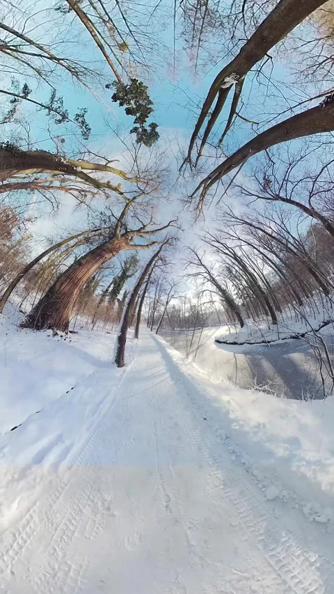 Mesmerizing Winter Walk Through a Snowy Forest and Along a Frozen River Stock Footage 266497087