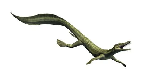Mesosaurus - Aquatic Dinosaur 스톡 일러스트