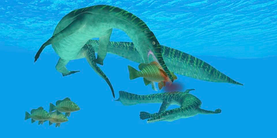 Mesosaurus attacks a Mangrove red snapper fish. Illustrazione stock
