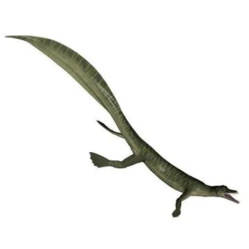 Mesosaurus dinosaur - 3D render Stock Illustration