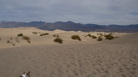 Mesquite Flat Sand Dunes Stock Footage 101024555
