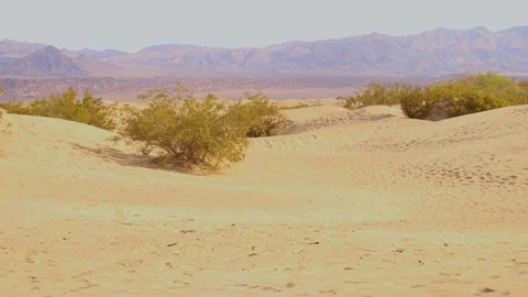 Mesquite Flat Sand Dunes Video stock 277297420