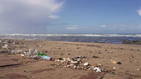 Mess of garbage plastic waste washed up on a beach in Morocco Polluted Stock Footage 233914068