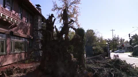 Mess of Limbs 3 Video stock 10791412