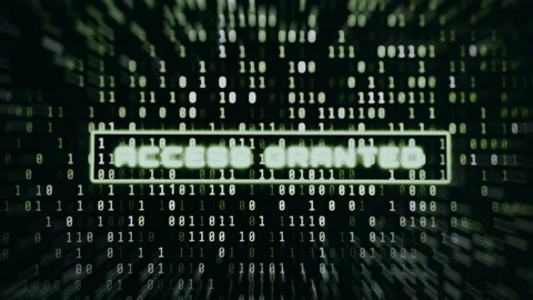 Message ACCESS GRANTED on background of digital matrix Stock Footage 334922035