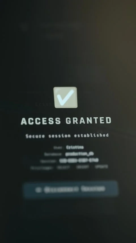 Message Access Granted, Secure Session Established Video stock 332470953