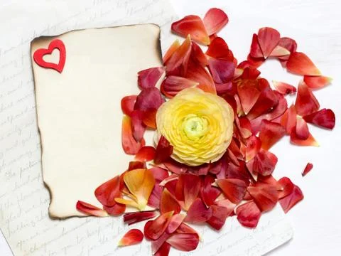 Message and ranunculus flowers Stock Photos