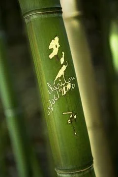 Message on a bamboo Stock Photos