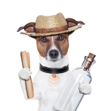 Message in a bottle dog Stock Illustration