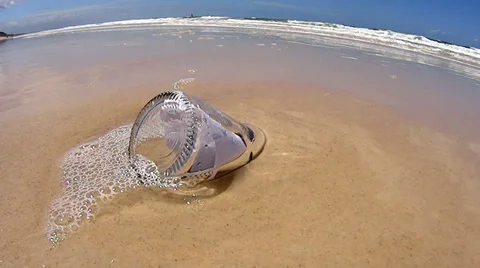 Message Bottle In Sand Stock Footage 35283070