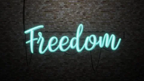 The message "Freedom"  neon light on Brick wall bcakground イラスト素材