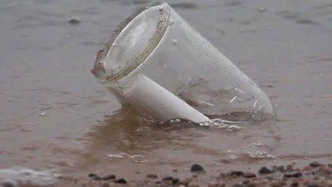 A Message in a glass Bottle washed ashore Stock Footage 239564742