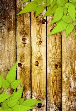 Message of nature Stock Illustration