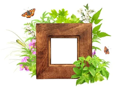 Message of nature Illustrazione stock