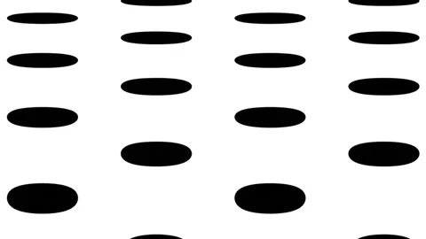 Messed black shapes floating on white background Stock Footage 145364584