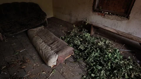 Messy interior of abandoned house with old mattress and furniture Vídeo Stock 339587915