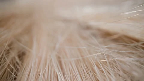 Messy plastic material treads texture as background macro Stock-Footage 186431498