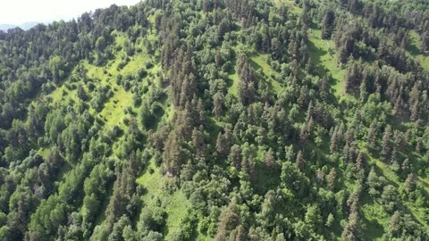 Mestia 動画素材 224681074