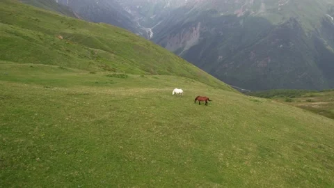 Mestia 動画素材 224756073