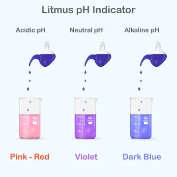Mesuring of pH with litmus indicator Stock Illustration