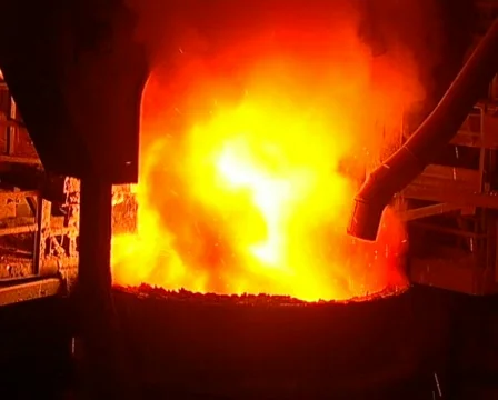 Met13 Vídeo Stock 557416