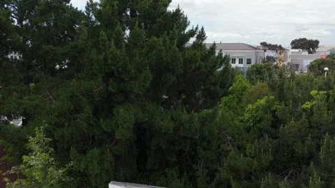 Meta headquarters campus with iconic infinity logo entrance sign on Hacker Way Stock Footage 337451249
