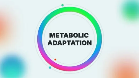 Metabolic Adaptation text animation on light gradient medical background Stock Footage 314424125